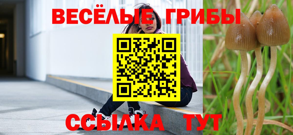 Галлюциногенные грибы Psilocybe Благодарный